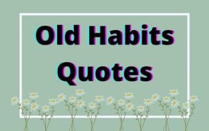 Read more about the article Motivational Old Habits Quotes and Sayings