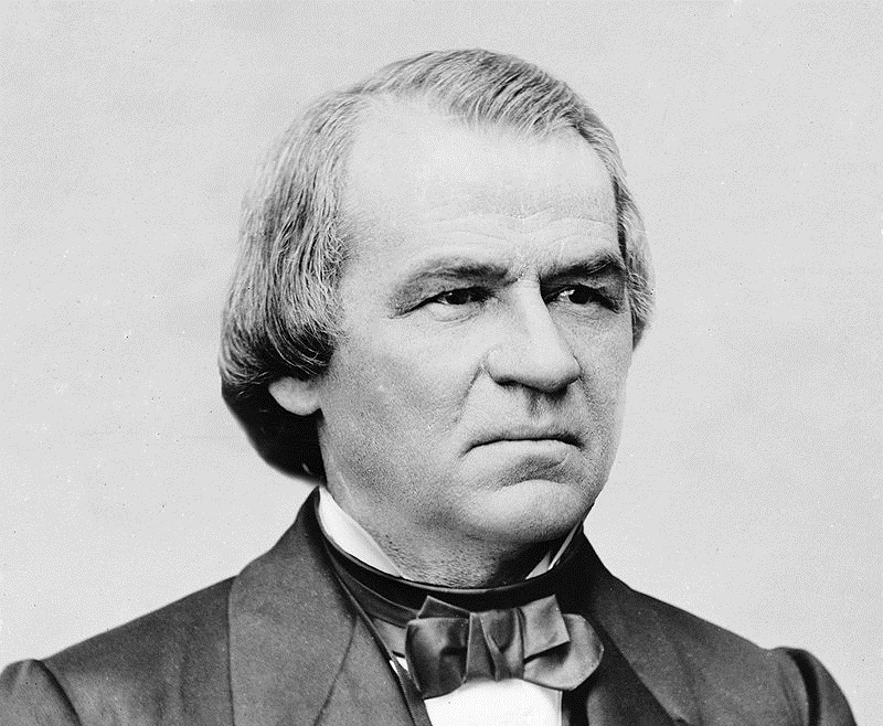 Read more about the article Motivational Andrew Johnson Quotes and Sayings