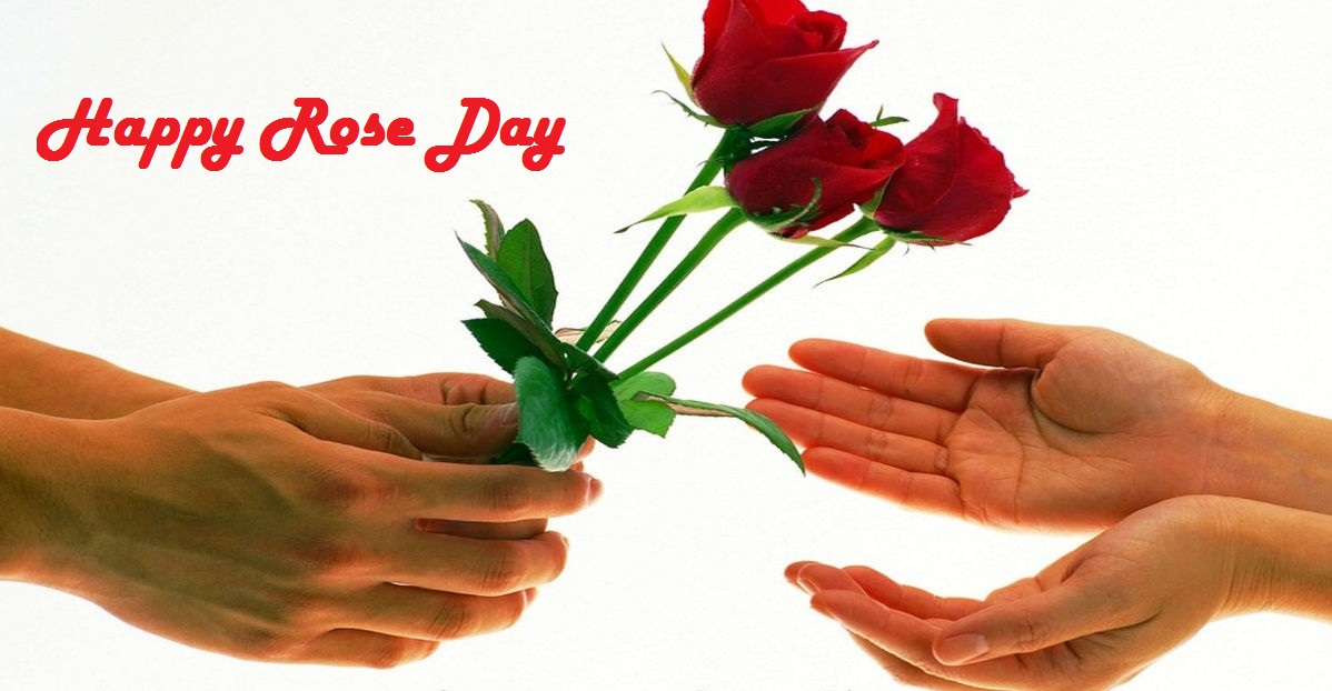 You are currently viewing Happy Rose Day Quotes and Sayings