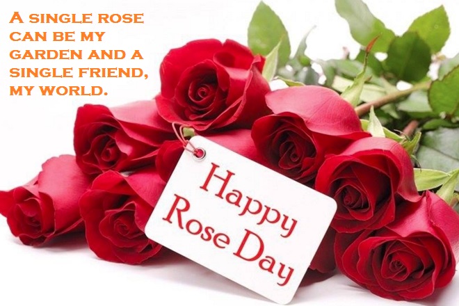 Happy Rose Day 1