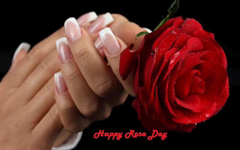 Happy Rose Day 2