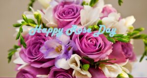 Read more about the article Happy Rose Day Messages
