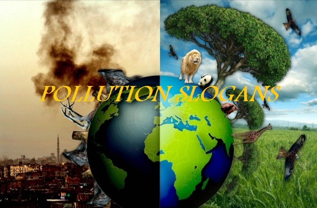 You are currently viewing Famous Pollution Slogans in English