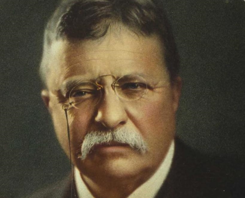 Read more about the article Motivational Theodore Roosevelt Quotes and Sayings