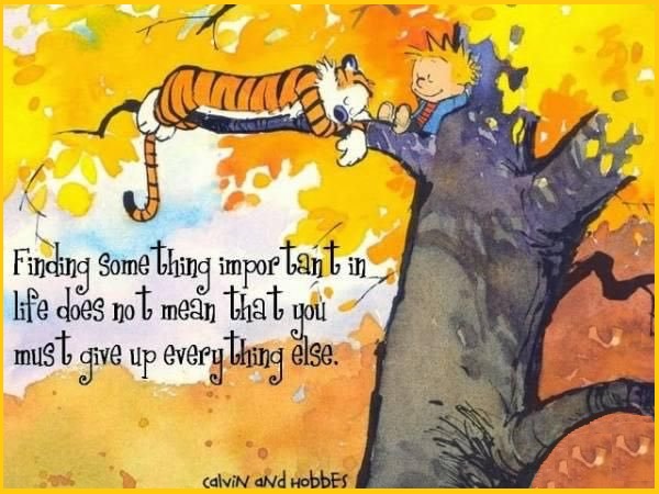 Calvin and Hobbes Quotes