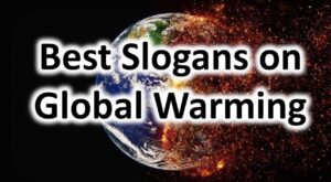 Read more about the article Global Warming Slogans in English for Students