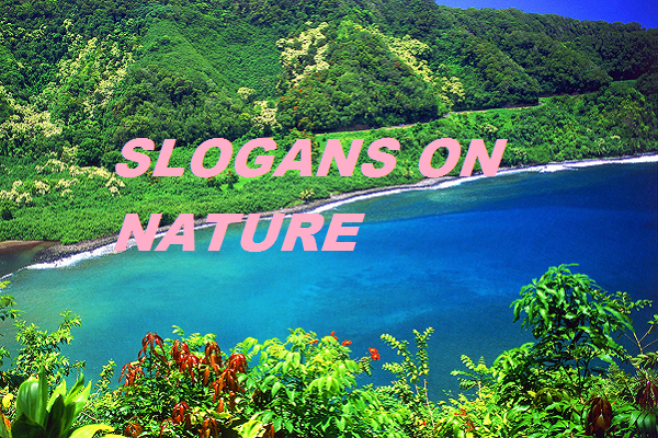 30-catchy-slogans-on-nature-conservation-in-english-for-students