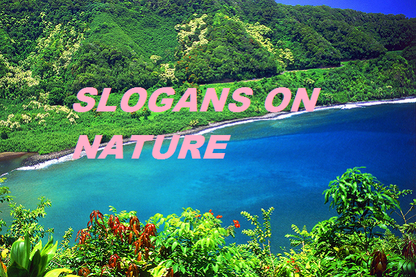 Read more about the article Slogans on Nature Conservation in English for Students