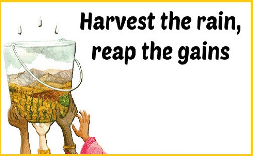 Harvest rainwater to use in difficult times of drought.