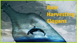 Read more about the article Slogans on Rainwater Harvesting in English