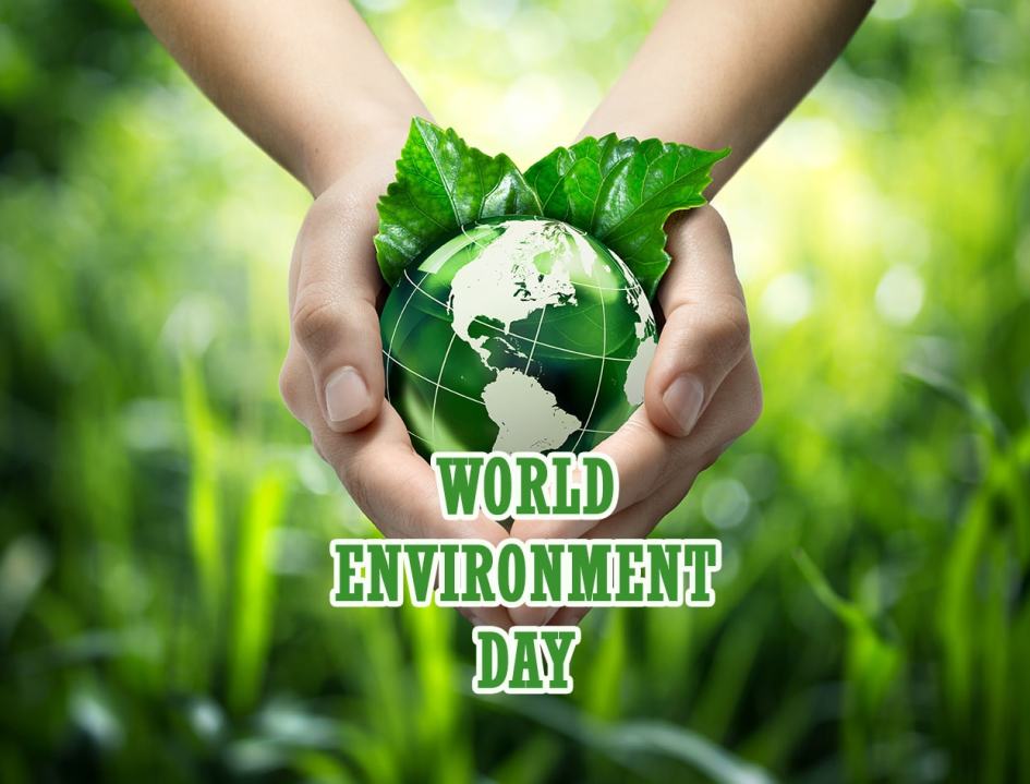 You are currently viewing SLOGANS ON WORLD ENVIRONMENT DAY