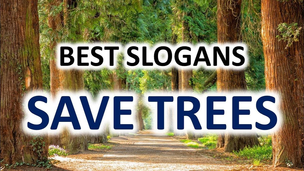SLOGANS ON SAVE TREES