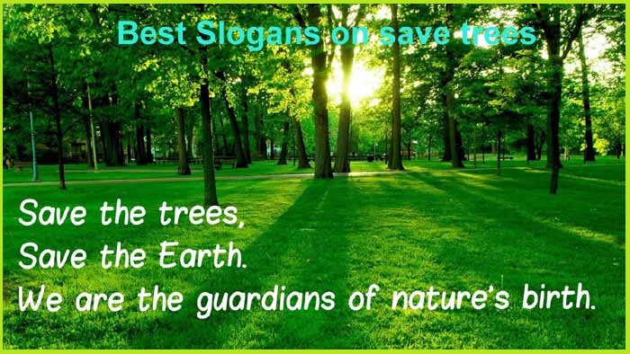 Save trees to breathe fresh air