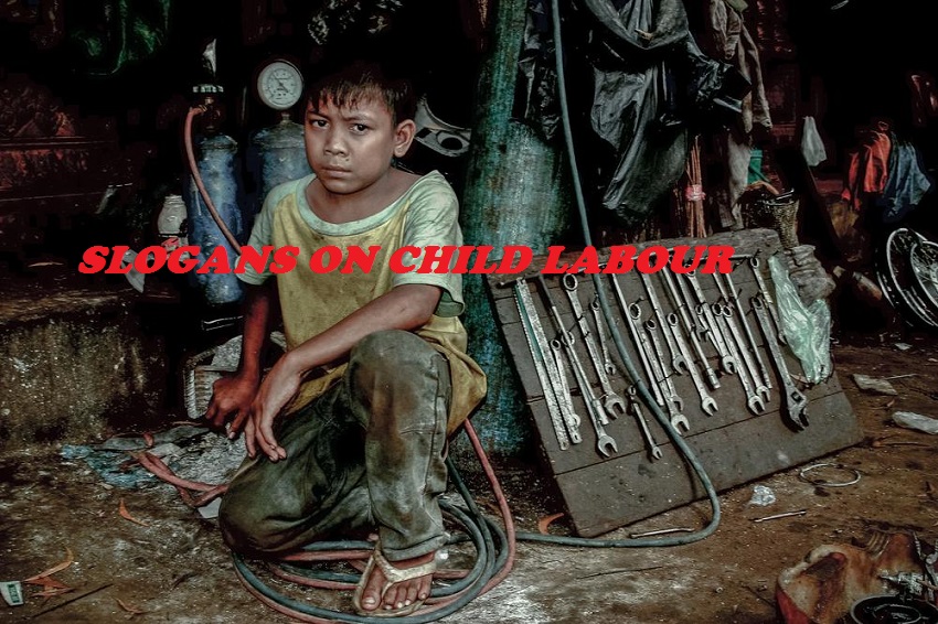 You are currently viewing Famous Slogans on Child Labour
