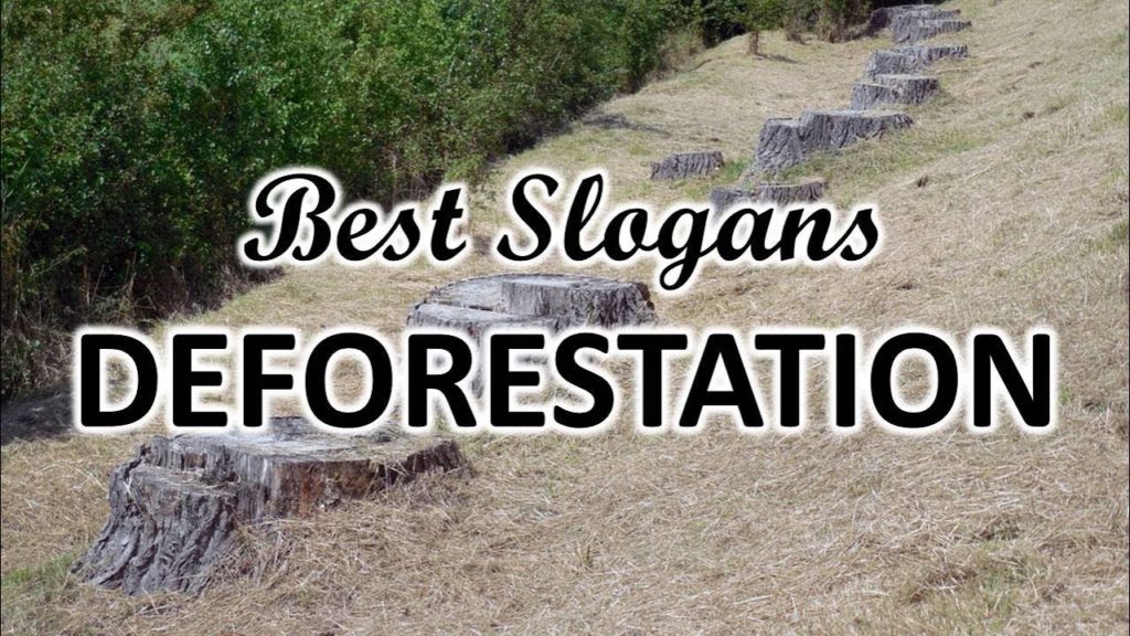 slogans about deforestation