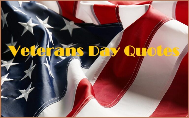 Motivational veterans day quotes