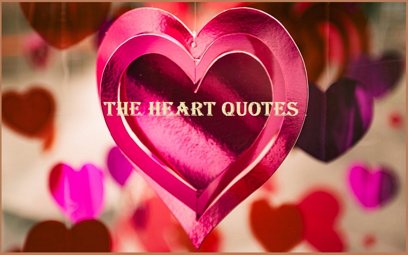 30+ Catchy Motivational The Heart Quotes And Sayings