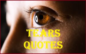 Read more about the article Motivational Tears Quotes And Sayings
