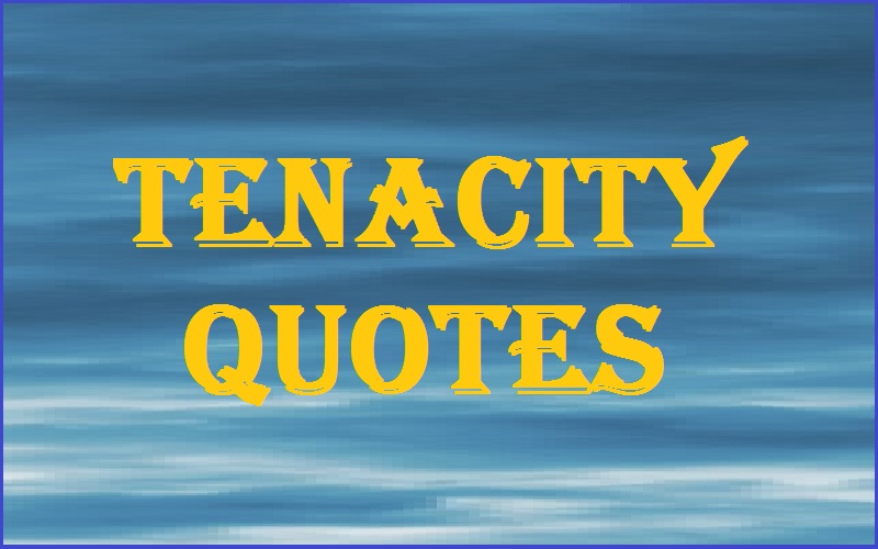 Tenacity Quotes
