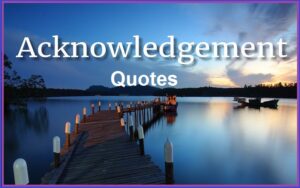 Read more about the article Motivational Acknowledgement Quotes and Sayings