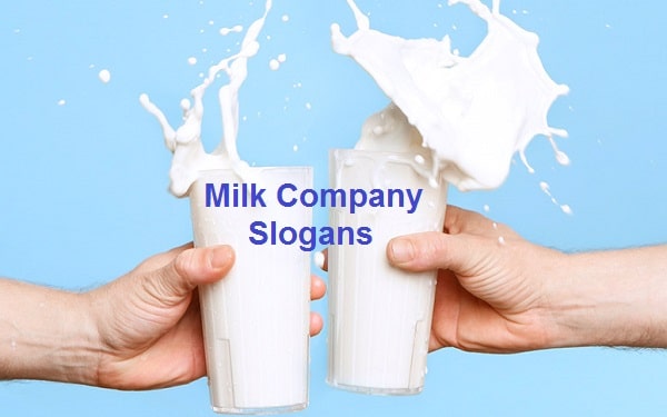 Milk Company Slogans