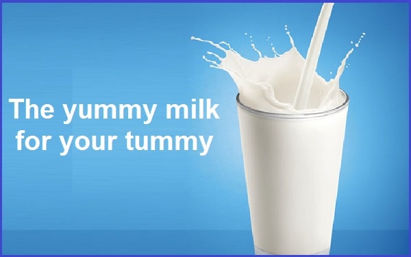Catchy Milk Company Slogans And Taglines
