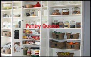 Read more about the article Motivational Pantry Quotes And Sayings