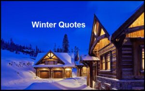 Read more about the article Motivational Winter Quotes And Sayings