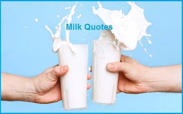 Milk Quotes