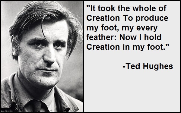 Inspirational Ted Hughes Quotes
