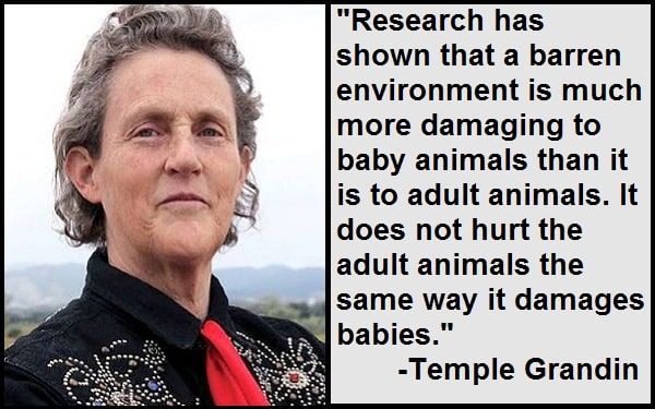 Inspirational Temple Grandin Quotes