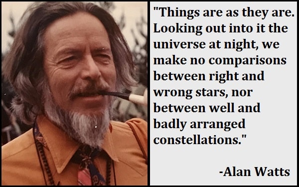 Inspirational Alan Watts Quotes